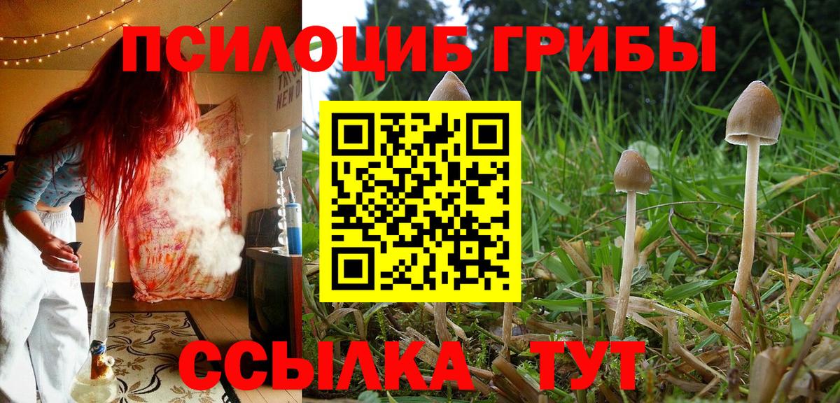 Псилоцибиновые грибы Cubensis  Вход с VPN  Менделеевск  Псилоцибиновые грибы мухоморы 
